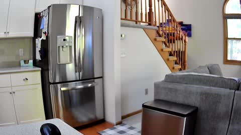 thegreat6268469 online show from 3, 10, 2025