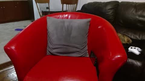 Snapshot of thekodyy chatting on 24, 1, 2025 thekodyy online show from 24, 1, 2025