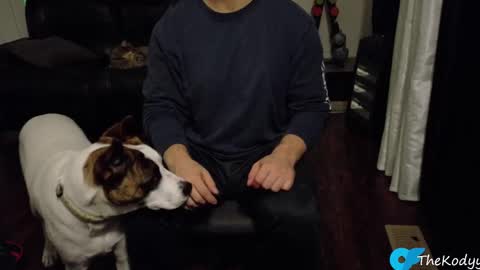 Snapshot of thekodyy chatting on 21, 10, 2025 thekodyy online show from 21, 10, 2025