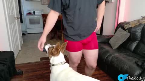 Snapshot of thekodyy chatting on 4, 11, 2025 thekodyy online show from 4, 11, 2025