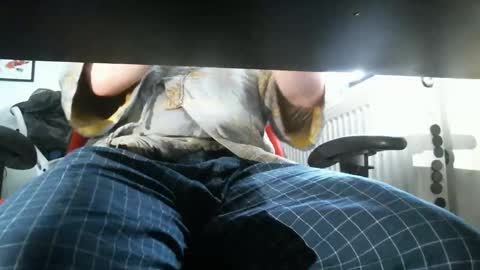 thelittleteaser online show from 20, 4, 2026