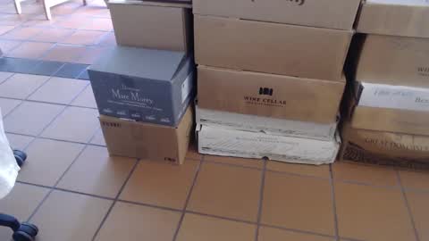 Peter online show from 1, 3, 2025