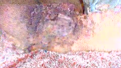 Snapshot of thetightestass14 chatting on 20, 2, 2025 thetightestass14 online show from 20, 2, 2025