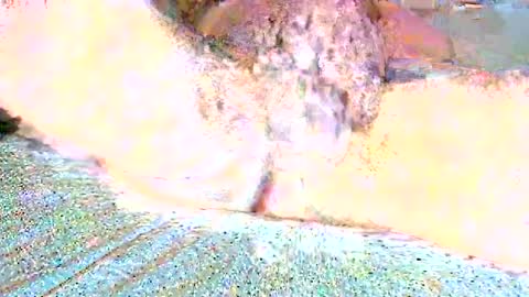 Snapshot of thetightestass14 chatting on 25, 2, 2025 thetightestass14 online show from 25, 2, 2025