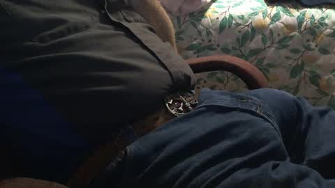 Snapshot of thetnguy chatting on 21, 12, 2024 thetnguy online show from 21, 12, 2024