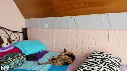 Nicole online show from 25, 3, 2026