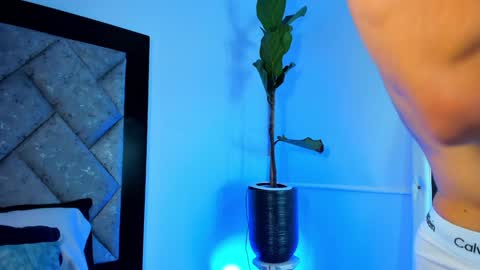 thiago online show from 29, 12, 2024