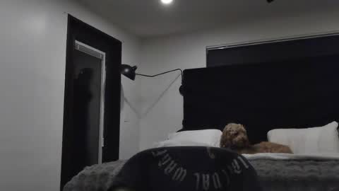 thiccbull12 online show from 29, 6, 2026