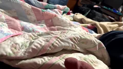 thickdic44 online show from 12, 2, 2025