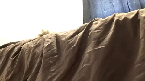 thickdickclit online show from 27, 3, 2026