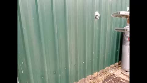 throbmasterr online show from 12, 9, 2025