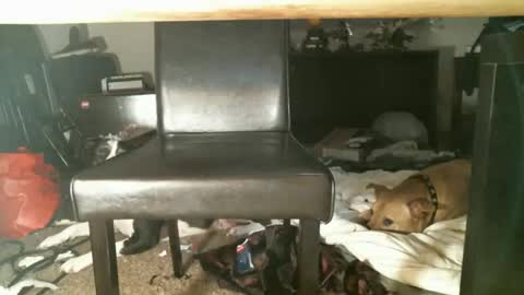 Snapshot of thumperdlj chatting on 27, 10, 2025 Thumper online show from 27, 10, 2025