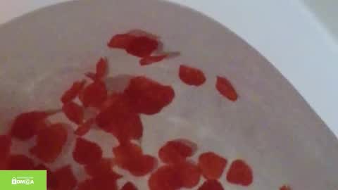 tia_j online show from 12, 10, 2025