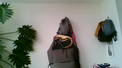 tiaretiareopui online show from 31, 10, 2025