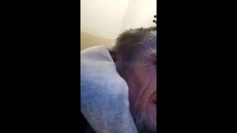 Snapshot of tibed1968836757 chatting on 15, 2, 2026 tibed1968836757 online show from 15, 2, 2026