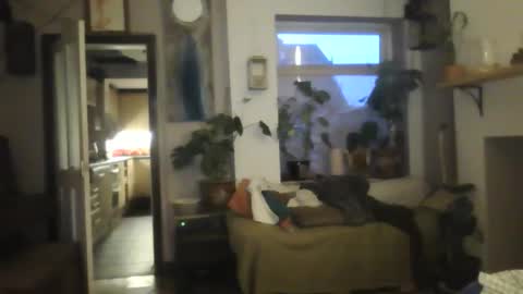 tiddles12345 online show from 18, 10, 2025