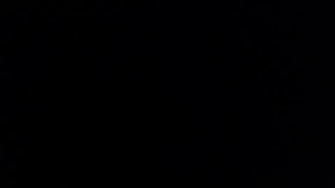 Tiffany Brewer online show from 14, 3, 2026