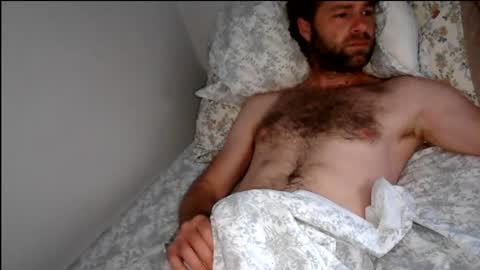 tigerzaddy online show from 17, 6, 2026