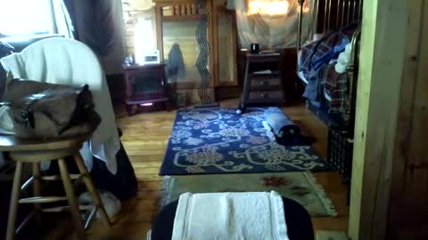 Snapshot of timcassforyou chatting on 1, 6, 2026 timcassforyou online show from 1, 6, 2026
