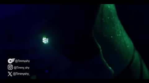 timmyshy online show from 17, 1, 2026