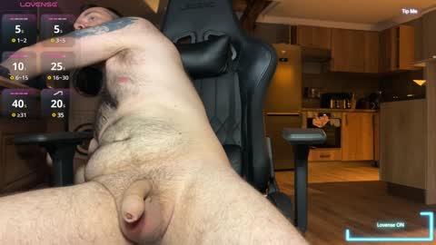 timnath_bear online show from 7, 12, 2024