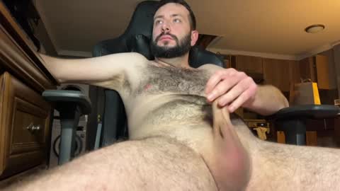 timnath_bear online show from 25, 1, 2025