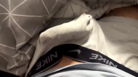 Timur online show from 4, 4, 2026