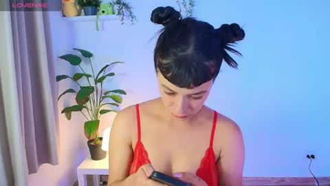 Tina Wild online show from 4, 7, 2026
