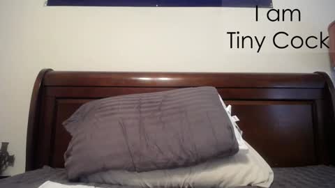 tinycock_1979 online show from 20, 2, 2025