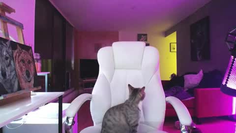 stage Kylie Sinner  brand CLITBAIT online show from 14, 10, 2025