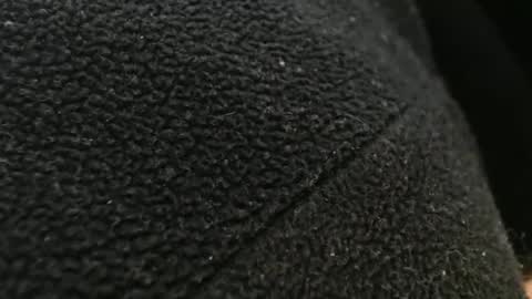 tinyslut66 online show from 17, 11, 2025