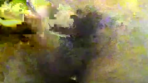 Tirius Barkhan online show from 30, 11, 2025