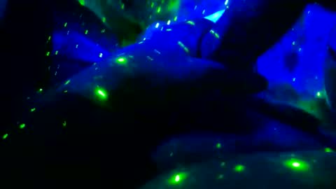 Snapshot of tkerrick28 chatting on 10, 2, 2026 tkerrick28 online show from 10, 2, 2026