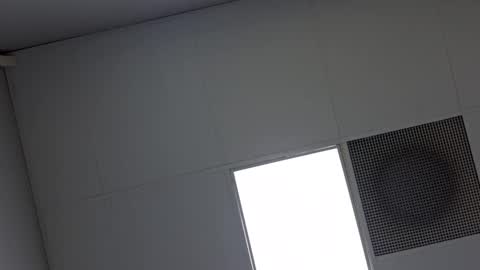 Vols online show from 8, 2, 2025