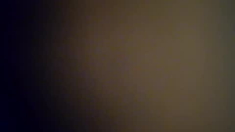 Vols online show from 12, 2, 2025