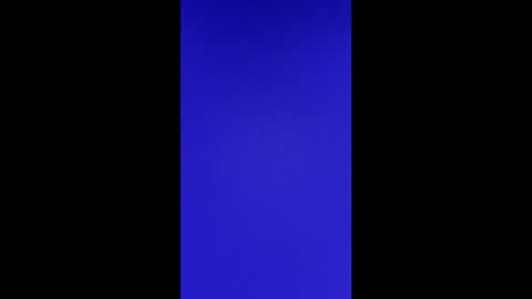 Vols online show from 24, 2, 2025