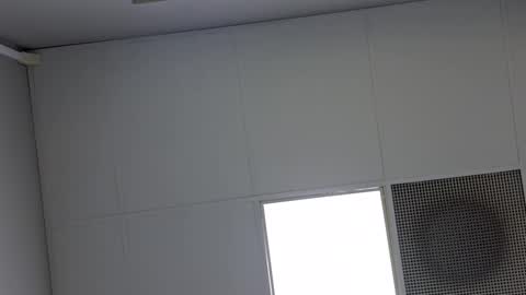 Vols online show from 7, 3, 2025