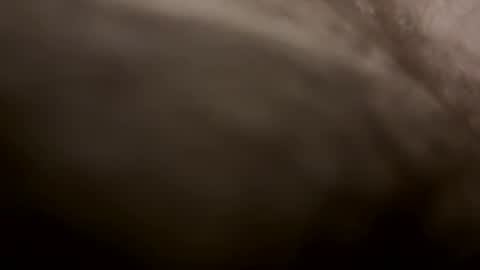 toesturnmeon online show from 11, 10, 2025