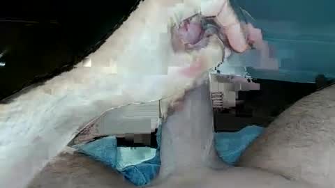 tom4you4all online show from 21, 2, 2026