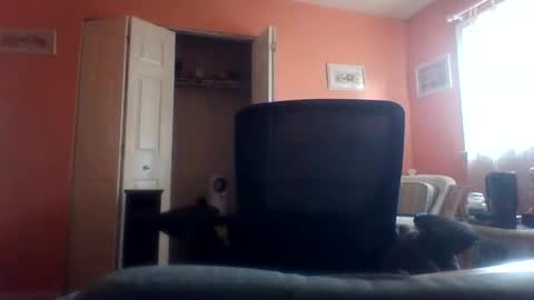 tomcat4848 online show from 22, 4, 2026