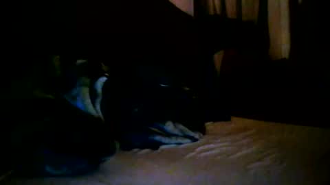 Snapshot of tommy_mackz chatting on 2, 3, 2026 tommy mackz online show from 2, 3, 2026