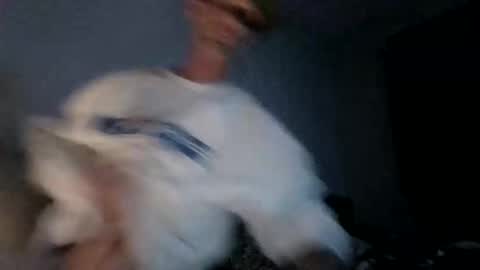 tommybigc9ck online show from 16, 11, 2025