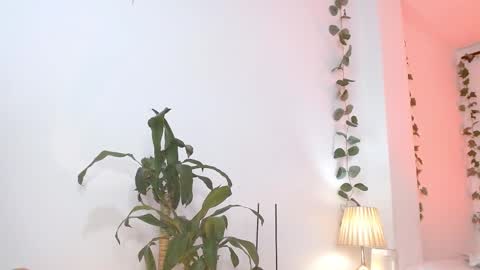 Tommy Foxboy online show from 5, 3, 2025