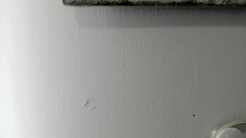 lady blue online show from 6, 1, 2025