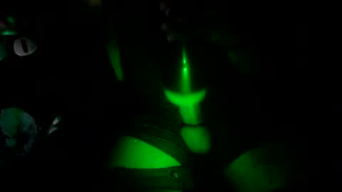 toni256115 online show from 19, 4, 2026