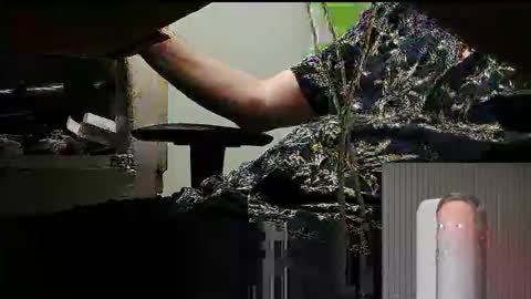 tontin69 online show from 31, 3, 2026