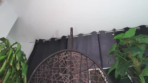 tony online show from 12, 2, 2026