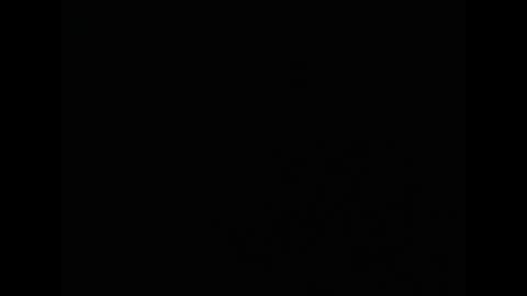 tony online show from 24, 2, 2026