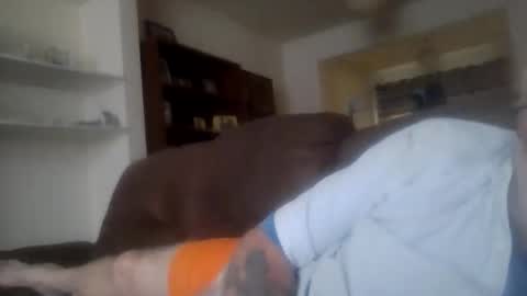 topfoxs30 online show from 23, 3, 2026