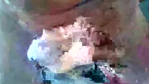 toranaman77 online show from 22, 9, 2025